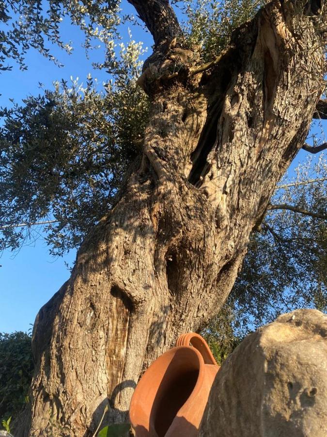 فيلا Residenza Nosy Be Palombara Sabina المظهر الخارجي الصورة